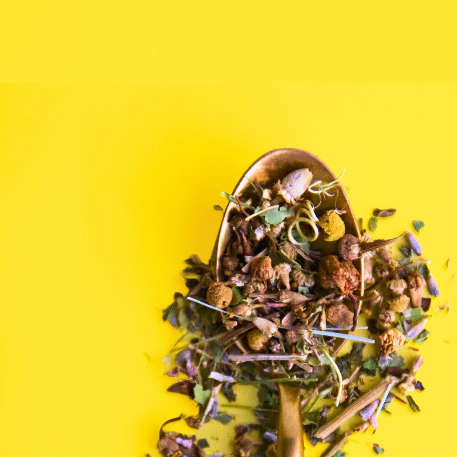 Our Products – Feist Tea Co.